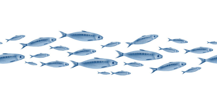 Sardine fish in seamless horizontal border swimming in a shoal stylized watercolor illustration on a transparent background for fish restaurants, websites, posters, fish markets and stores