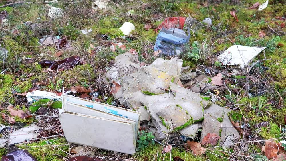 Wall mural pile of trash left in a forest clearing, illustrating the problem of littering and environmental pol