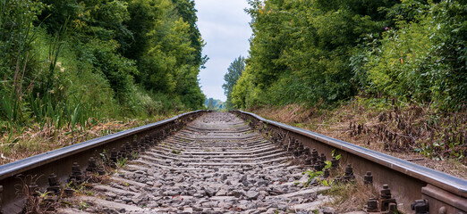 The line of an old railroad in the woods