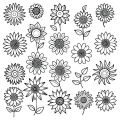 Line Art Sunflower Vector Set Illustration.