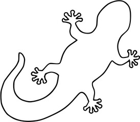 lizard