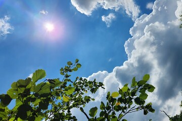 Cumulus clouds, aerial view. photograph of puffy, cumulus clouds against blue sky.