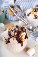 Portion bowl of smores ice cream