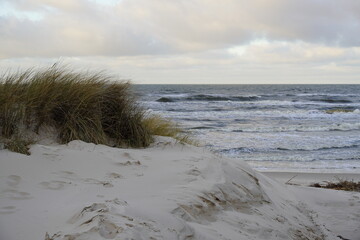 wydmy nad Bałtykiem © Nikolina