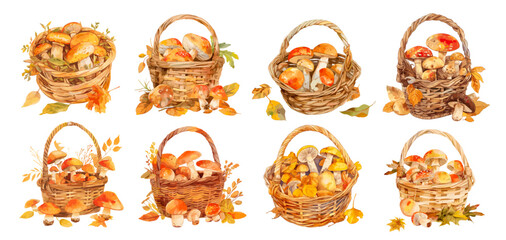 Fototapeta premium wicker baskets with mushrooms. autumn mushroom picker basket set, forest rural fresh harvest yellow foliage picking seasonal food hike vector illustration