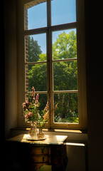 window