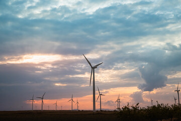 Obraz premium view of a large wind farm with a nice stormy sky at sunset. The windmills or generators face the sun and the sky is full of clouds