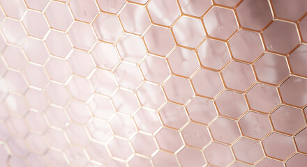 Abstract background hexagons design. science cosmetic technology. concept skin care cosmetics solution. 3d rendering.	