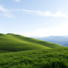 summer landscape - green fields 
