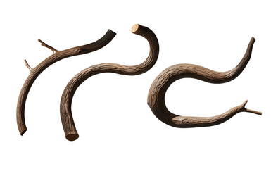 Rusty worm and nail on a white background
