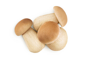 Fresh porcini cep mushroom isolated on white background. Top view. Flat lay