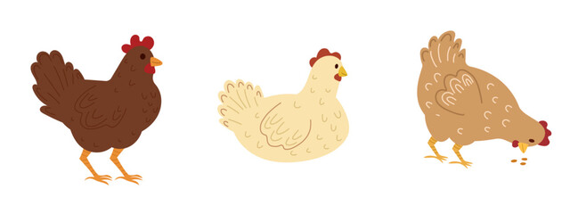 Cute hen set, farm animal bird, poultry,  chicken. Vector simple design isolated on white background