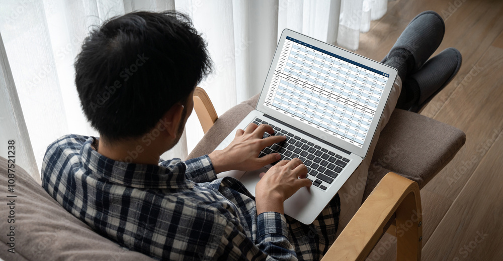 Poster accounting software on computer screen showing financial statement spreadsheets and account balance 