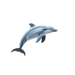 Obraz premium Elegant Dolphin Leaping in the Ocean