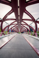 Travel destination Calgary. Peace Bridge across Bow River with Modern City Buildings in Background