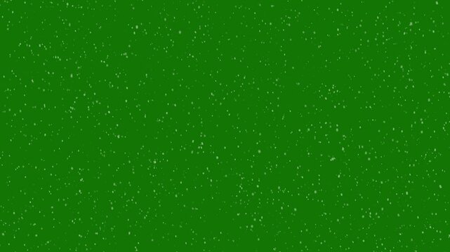 snow falling animation on isolated green screen