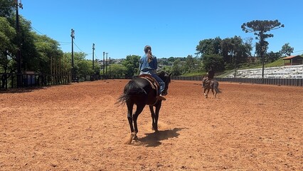 casal anda de cavalo