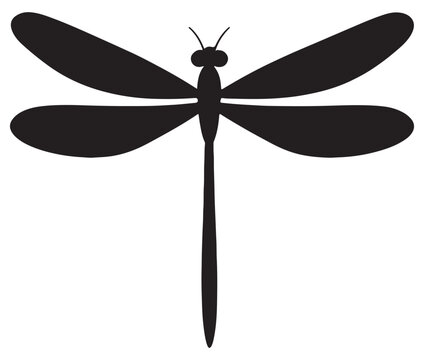 Cartoon dragonfly on white background, Cute dragonfly icon silhouette