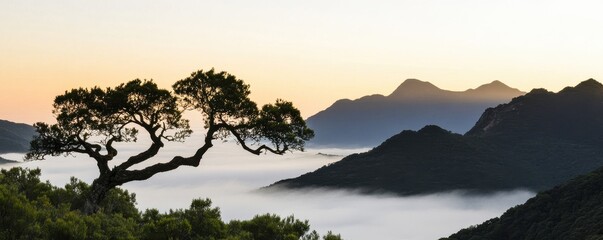 Obraz premium A serene landscape featuring misty mountains at dawn, with a silhouette of a tree in the foreground against a colorful sky.