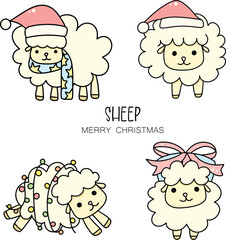 Cute sheep