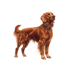 Majestic Golden Retriever Dog Portrait - Digital Painting