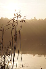 Mazury