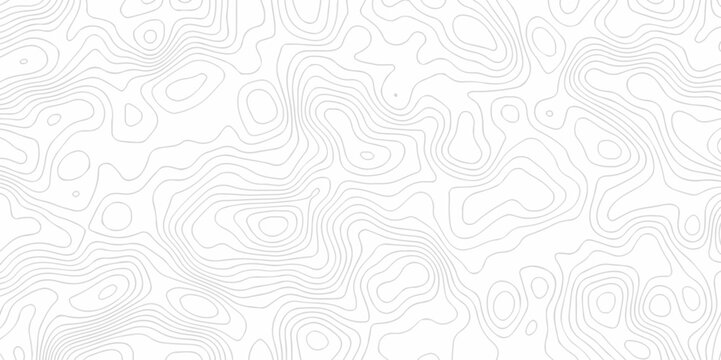 Seamless pattern with White sea map and dots topographic contours map background,curved reliefs abstract background. Topographic map patterns, topography line map. White background with topographic.