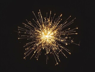 Fototapeta premium golden fireworks on isolated black background, New Year's or festive celebrations, fireworks