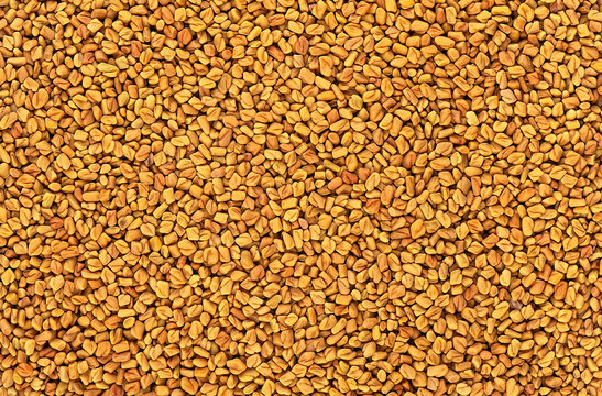 Fenugreek seeds as background, top view. Brown fenugreek seeds, methi dana, helba or shambala.