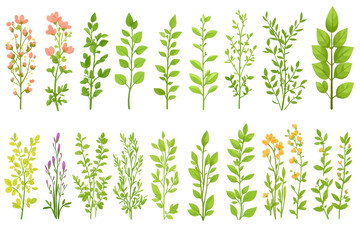 Culinary herbs icons in flat design showcasing various plant types and colors
