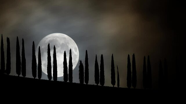 Cypress trees on a road in Tuscany, Time Lapse by Night with Full Moon, Italy