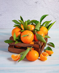 Fresh tangerines with leaves in a wooden crate on a blue table