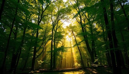 Fototapeta premium Lush forest with vibrant green trees, sunlight streaming through the canopy, and dappled light on the forest floor