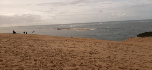 morning in the desert