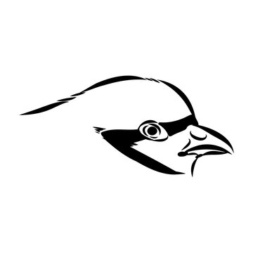 recommend clip art: Asian partridge, vector sketch, chukar