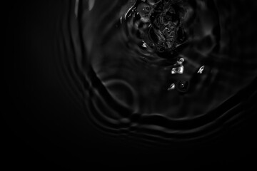 The black water surface has gentle waves.