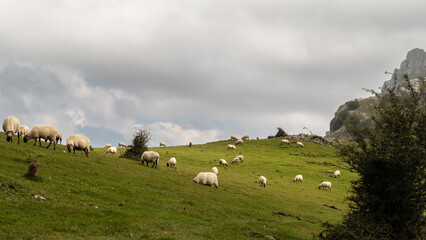 Pastos vascos 