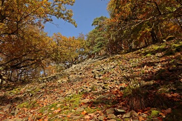 Blockhalde im Nationalpark Kellerwald.