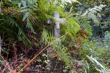 Overgrown stone cross surrounded by lush ferns, evoking a serene and mystical atmosphere in nature