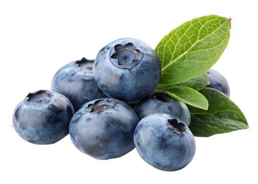 blueberries on white background