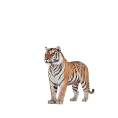 Obraz premium Majestic Tiger in Striking Pose