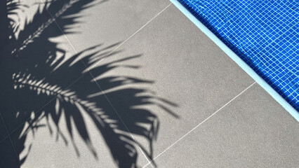 Contrast of Poolside Tiles and Blue Water, Shadow Play in the Sun