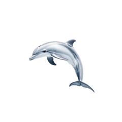 Playful Dolphin in Pure Motion