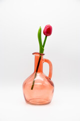 Elegant Pink Glass Vase with a Single Vibrant Red Tulip in Minimalist Style