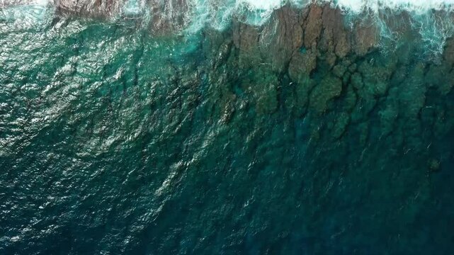 Un r&eacute;cif dans l'oc&eacute;an pacifique, sur lequel les vagues se brisent