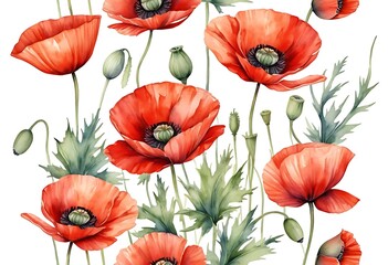 Poppy summer background, Seamless floral pattern with red flowers, watercolor. Template design for textiles, wallpaper