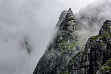 Overhanging cliffs with tree. Detail of hight mountain landscape.