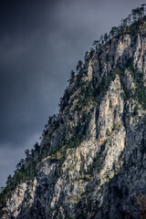 Overhanging cliffs with tree. Detail of hight mountain landscape.