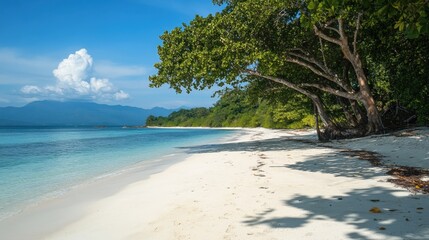 Tropical Beach Paradise White Sand, Turquoise Water, Lush Trees