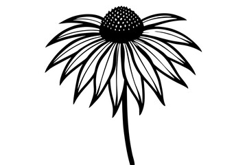Elegant Line Drawing of a Coneflower Simple and Artistic Design
